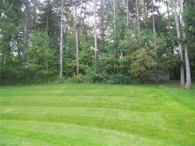 Private & wooded back yard