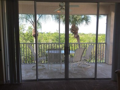 Lanai and View