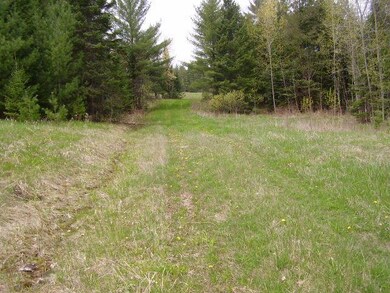 View # 4 - Trail