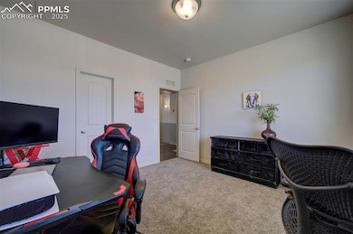 Office area or bedroom featuring carpet and walk-i