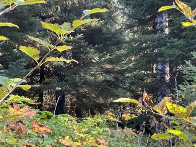 Thick woods