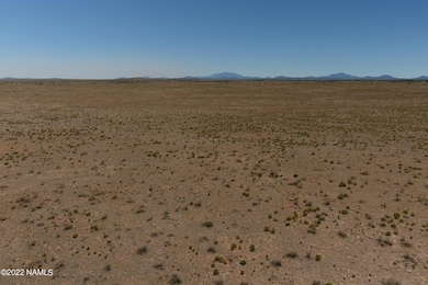 3750 S Prickly Pear Wash, Williams, AZ 86046 - photo 5