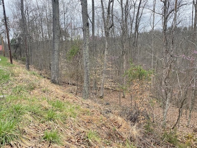 701 Tower Rd, Hurricane, WV 25526 - photo 7