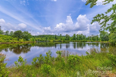 73 Pond View Ln unit 66, Rutherfordton, NC 28139 - photo 7