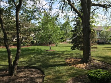 1725 Chesapeake Ln unit 5, Schaumburg, IL 60193 - photo 3