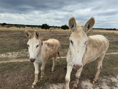 126 Acres County Road 204, Burnet, TX 78611 - photo 7