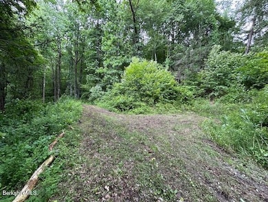 0 Glendale Rd unit 245211, Stockbridge, MA 01262 - photo 5