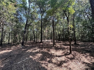 Danner Dr, Wilmer, AL 36587 - photo 2