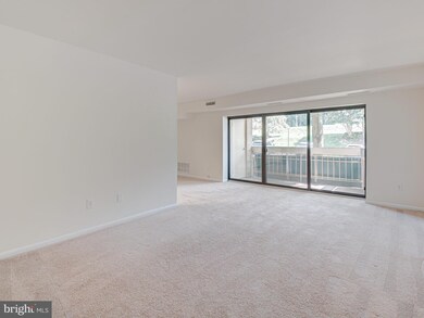 6137 Leesburg Pike unit 210, Falls Church, VA 22041 - photo 2