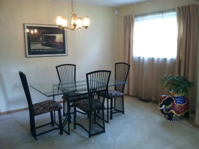 photo3