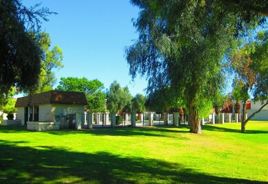 community pool2