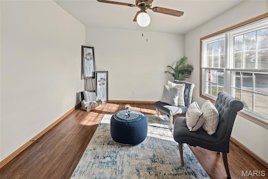 425 Meadow Dr, Troy, IL 62294 - photo 5