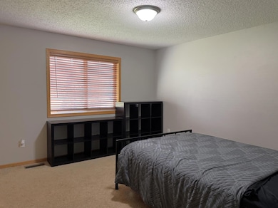 438 Lake Trail, Winsted, MN 55395 - photo 5