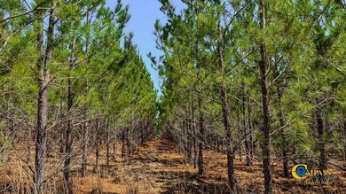 0 Old Cc Rd, Cassatt, SC 29032 - photo 6