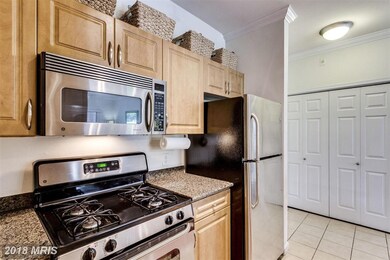 12917 Centre Park Cir unit 113, Herndon, VA 20171 - photo 6