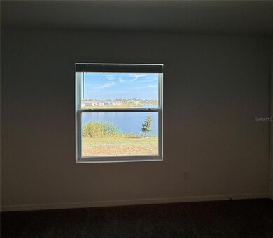 Primary View