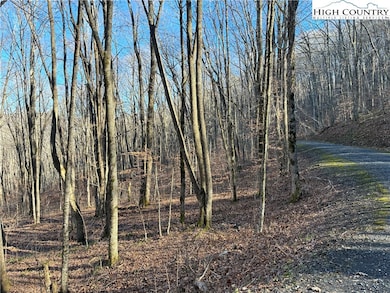 TBD Wolfsbane Trail, Todd, NC 28684 - photo 4