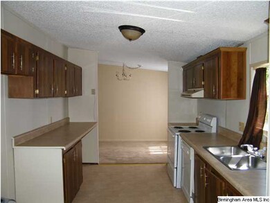 Kitchen View 1