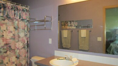 903 Williams St NW, Orting, WA 98360 - photo 7