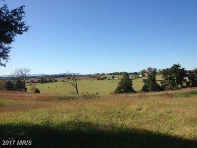 16 Ashbourne Ln, Rixeyville, VA 22737 - photo 3