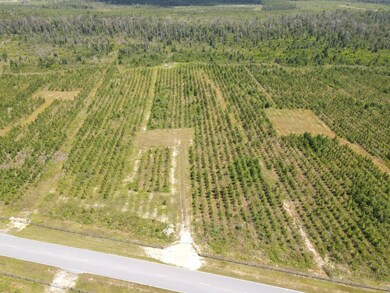 19597 NW Doug Price Rd, Blountstown, FL 32424 - photo 4