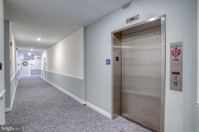 33725 Skiff Aly unit 306, Lewes, DE 19958 - photo 2