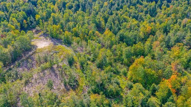 87 dyke mountain road-28