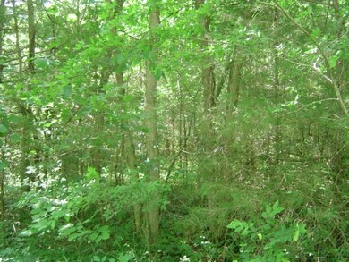 0 Mill Rd, Shelbyville, TN 37160 - photo 6