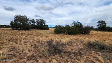 8381 W Shingle Oak Ln, Williams, AZ 86046 - photo 7