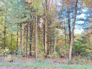 0 E Tyler Rd unit 25049107, Twin Lake, MI 49457 - photo 5