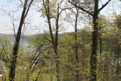 IMG_0508