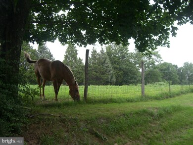 2044 Senseny Rd, Winchester, VA 22602 - photo 3