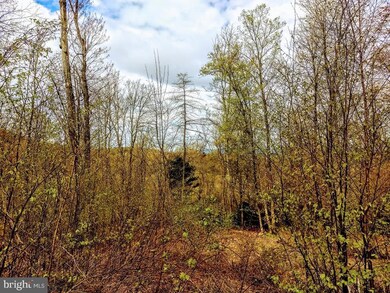 0 Bison Ridge Ln unit PAPY2002416, Newport, PA 17074 - photo 3