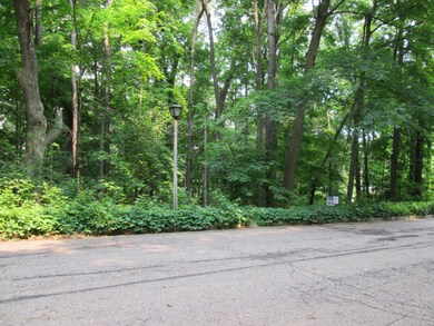 Wooded Lane 016
