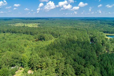 Drone View (4 of 22)