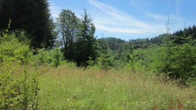 1892 King Rd, Winlock, WA 98596 - photo 2