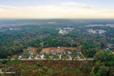 458 Old Richburg Rd, Purvis, MS 39475 - photo 6