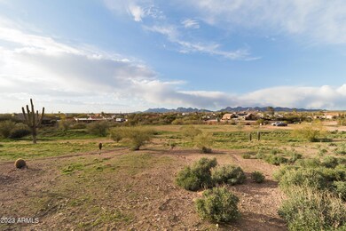 20230206-IMG_6567