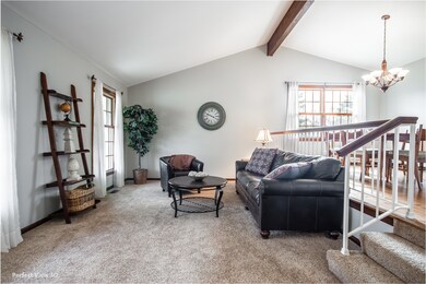 36 Pottowattomie Ct, Naperville, IL 60563 - photo 5