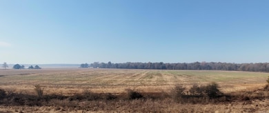 0 Hwy 280 unit 25046346, Peach Orchard, AR 72453 - photo 6