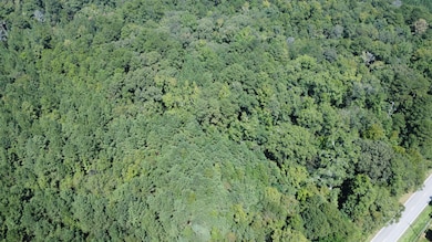 0 Twin Bridges Rd unit 11579160, Eatonton, GA 31024 - photo 5