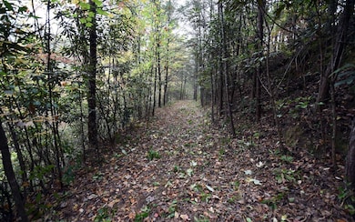 TBD Mclean Rd, Andrews, NC 28901 - photo 2