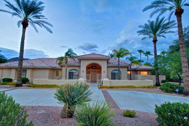 Sunset Drive elc export 3