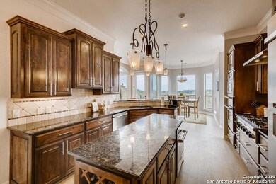 22619 E Range, San Antonio, TX 78255 - photo 5