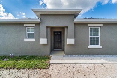 17897 Turning Leaf Cir, Land O Lakes, FL 34638 - photo 4