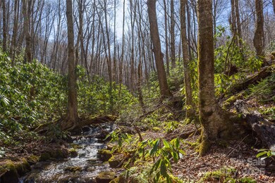 Lot 50 Bearwallow Ridge Trail unit 50, Qualla, NC 28779 - photo 5