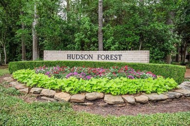 10 Sugarberry Cir, Houston, TX 77024 - photo 4