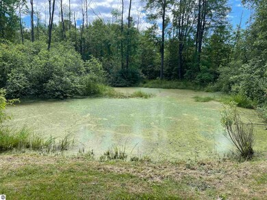 7326 W Esmond Rd, Hale, MI 48739 - photo 3