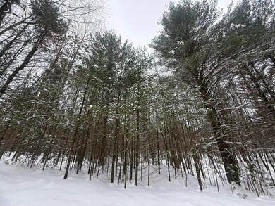 3.75 Acres Wayne Rd, Pentwater, MI 49449 - photo 6