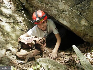 36 Elkhorn Sub Divide, Dorcas, WV 26847 - photo 7